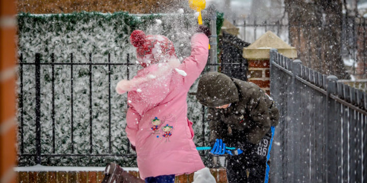 如何把雪花的美丽永远留住？介绍化石形成的原理