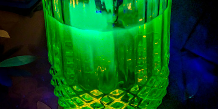 植物吸水过程造影