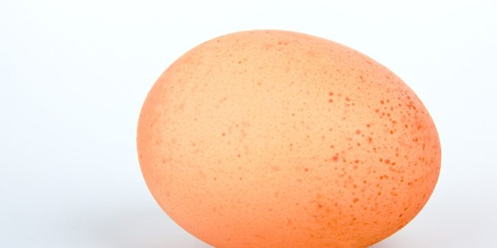 为什么鸟蛋都是一头尖？